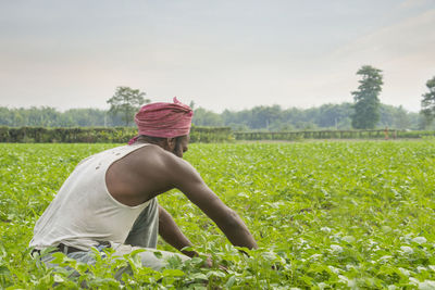 Farmer working at agricultural field