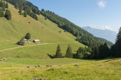 Scenic view of landscape against sky