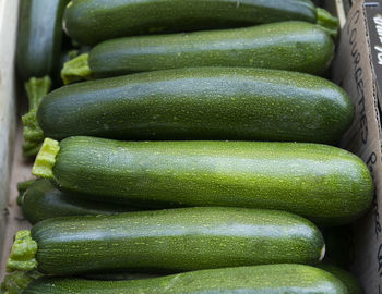 zucchini