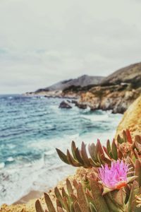 California's beautiful golden coast.