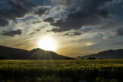 Scenic view of field against sky during sunse,golden time.