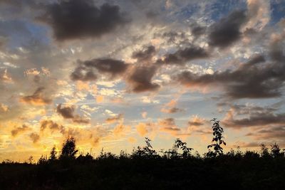 Silhouette trees against sky during sunset