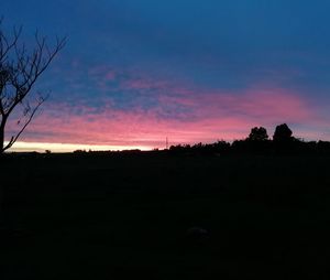 Silhouette trees on field against sky at sunset