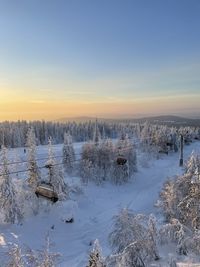 Scenic view of ski lift and snow-covered fir trees against sky during sunset