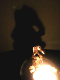 Close-up of illuminated light painting on wall