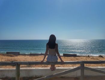 Rear view of man on beach against clear sky