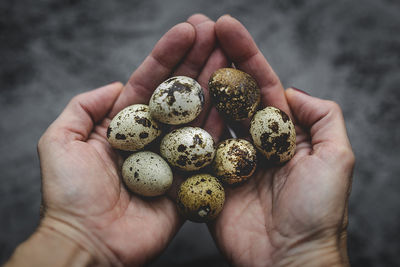 Fresh quail eggs in woman's hands on gray background from view