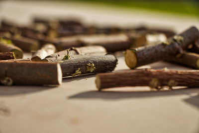 Close-up of rusty metal on table