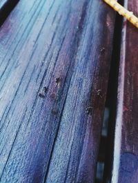 Close-up of wood on table