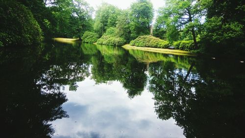 Scenic view of lake in forest against sky