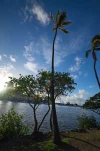 Trees by lake against sky