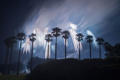 Low angle view of palm trees against sky at night