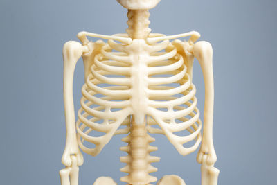 Low angle view of human skull against blue background