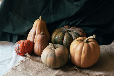 High angle view of pumpkins on table