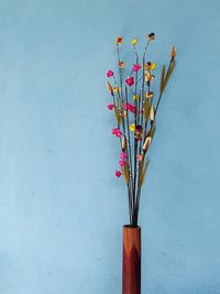 Close-up of plant in vase against blue wall