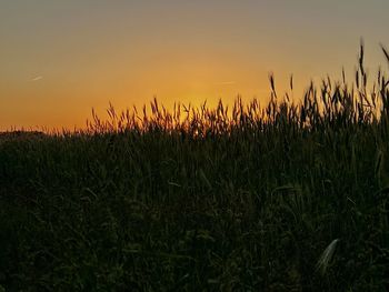 Scenic view of field against sky during sunset