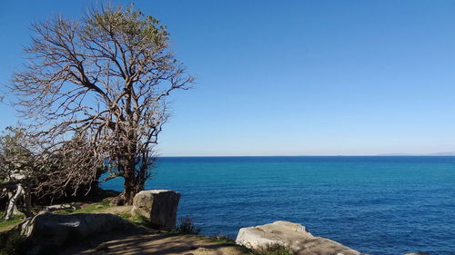 Scenic view of sea against clear blue sky