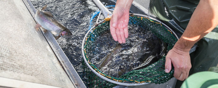 High angle view of man fish in water