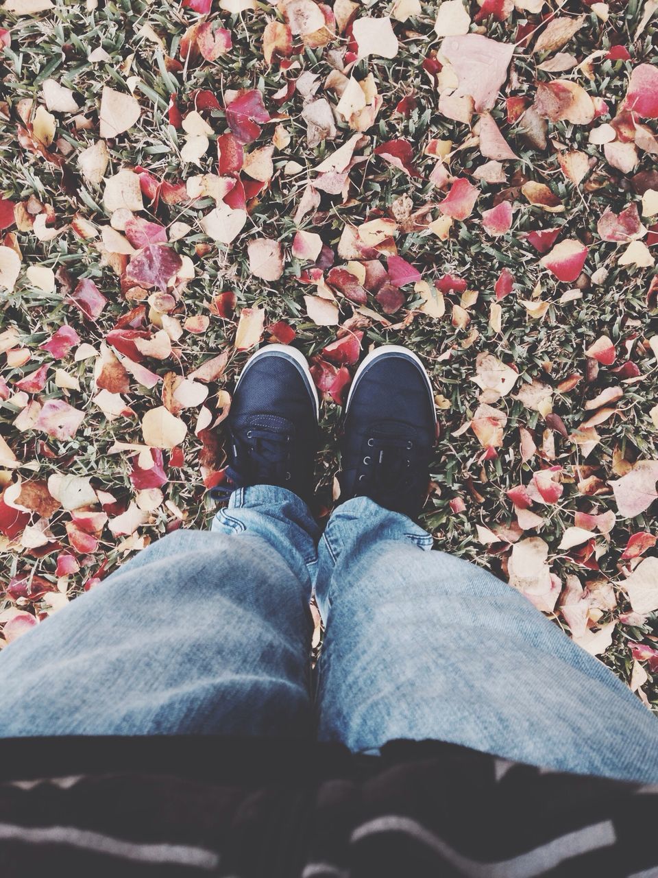 low section, person, shoe, personal perspective, lifestyles, high angle view, leisure activity, standing, jeans, men, human foot, footwear, casual clothing, unrecognizable person, leaf, outdoors