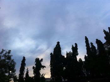 Low angle view of silhouette trees against sky