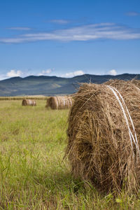 Hay bales on field against sky