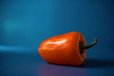 Close-up of tomato against blue background