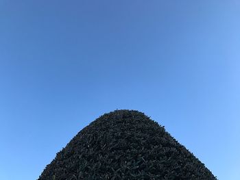 Low angle view of trees against clear blue sky