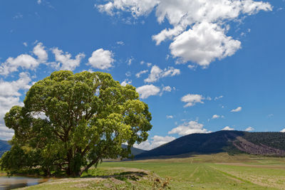 Scenic view of landscape against cloudy sky