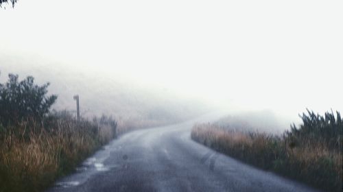 Road passing through forest