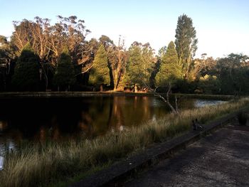 Scenic view of lake in forest against clear sky