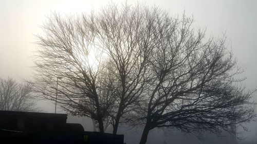 Low angle view of silhouette tree against sky