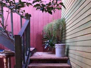 Plants against wall