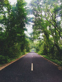 Empty road amidst trees