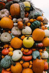 Pumpkins for sale at market stall