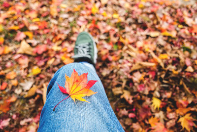 Low section of person with autumn leaf
