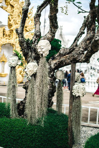 Panoramic shot of sculpture hanging on tree trunk