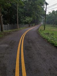 Road amidst trees and plants