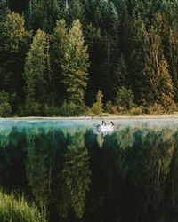 Scenic view of lake by trees against sky