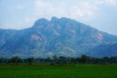 Scenic view of field against sky