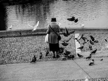 Rear view of woman feeding birds by lake