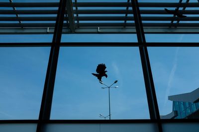 Low angle view of bird flying against sky