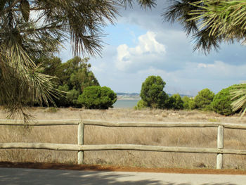 Scenic view of palm trees by sea against sky