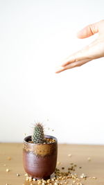 Close-up of hand on table against white background