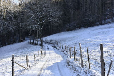 Snow covered field by trees during winter