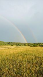 Scenic view of rainbow over field