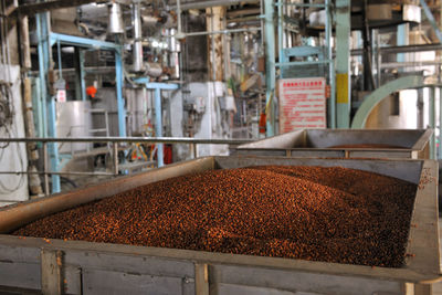 Close-up of food in factory