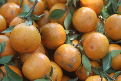 Full frame shot of oranges