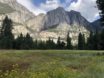 Scenic view of landscape and mountains against sky