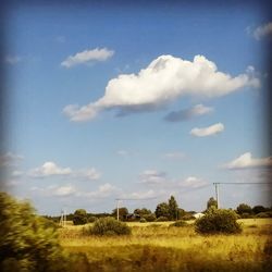 Scenic view of field against sky