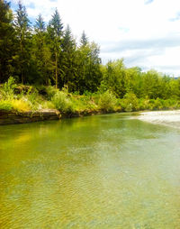 Scenic view of lake in forest against sky